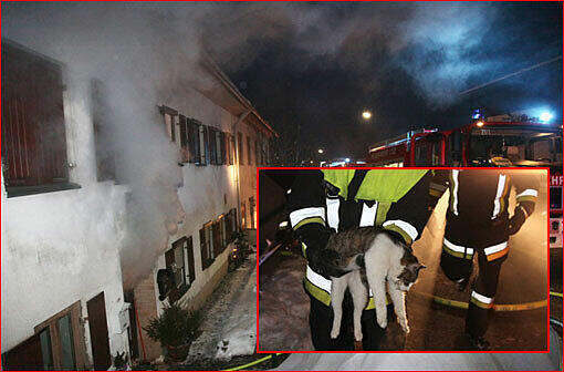 Brand in Gars im Landkreis Mühldorf am Inn: Kater "Samy" erleidet eine Rauchvergiftung. Die Feuerwehr rettet das leblose Tier aus einer brennenden Wohnung. Jetzt kümmert sich der Tierarzt um "Samy". Brand in Gars im Landkreis Mühldorf am Inn: Kater "Samy" erleidet eine Rauchvergiftung. Die Feuerwehr rettet das leblose Tier aus einer brennenden Wohnung. Jetzt kümmert sich der Tierarzt um "Samy".