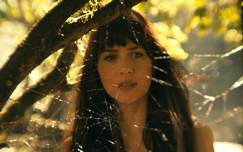 "Madame Web" gilt als einer der schlechtesten Superhelden-Filme jüngeren Datums. "Madame Web" gilt als einer der schlechtesten Superhelden-Filme jüngeren Datums.