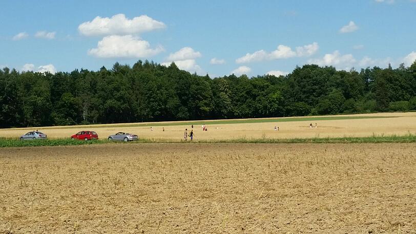 Der Kornkreis in Alling zieht immer mehr Besucher an.