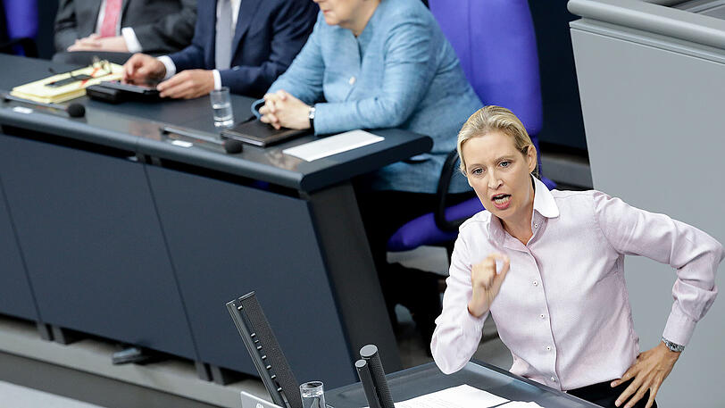 AfD-Politikerin Alice Weidel sorgte im Bundestag für einen Eklat.