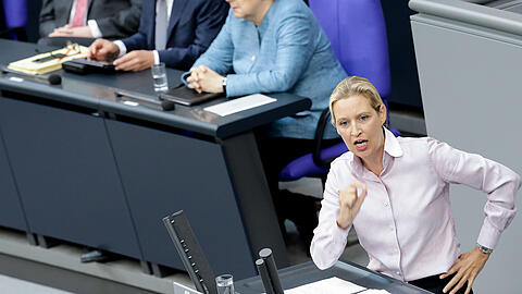 AfD-Politikerin Alice Weidel sorgte im Bundestag für einen Eklat.