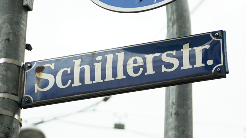Die verletzte Dame wollte die Schillerstraße ordnungsgemäß bei Grün überqueren. (Symbolbild)