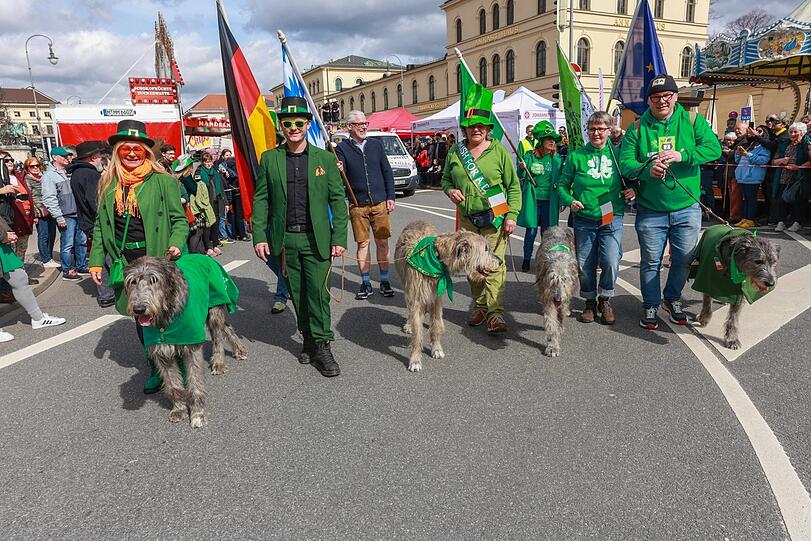 Grün ist die Farbe der Wahl beim St. Patrick's Day.
