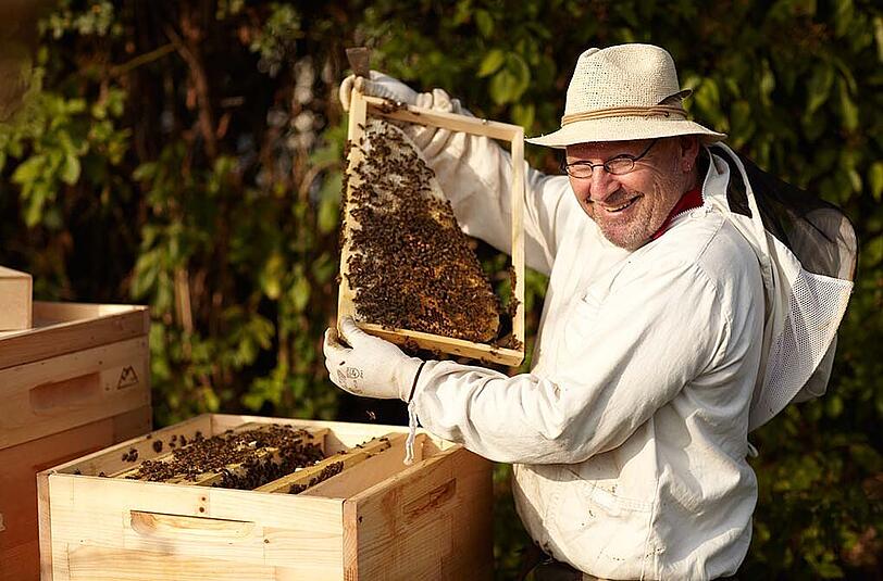 Ein Bild aus fröhlicheren Tagen: Stadtimker Andreas Bock bei der Arbeit am Bienenstock.
