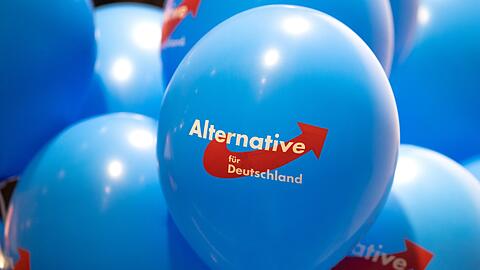 Dürfen AfD-Mitglieder in Rheinland-Pfalz nicht in den öffentlichen Dienst übernommen werden? Das wird letztlich im Einzelfall entschieden. (Symbolbild)