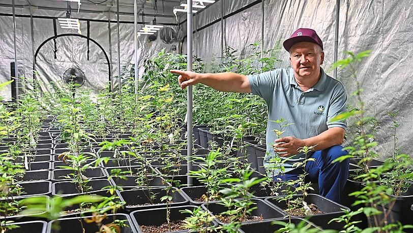 Der selbst ernannte König von Haschheim, Wenzel Cerveny, vergangenen Sommer mit seinen Stecklingen. Vergangenen Donnerstag wurden etwa 1400 Stecklinge beschlagnahmt.