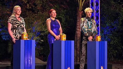 Wer gewinnt das Finale von "Kampf der RealityAllstars"?