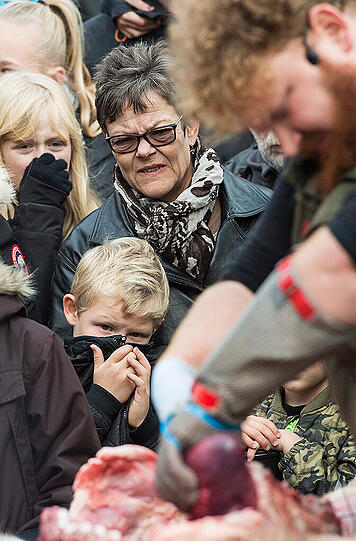 Mitarbeiter des Zoo Odense sezieren einen Löwen vor Schulkindern.