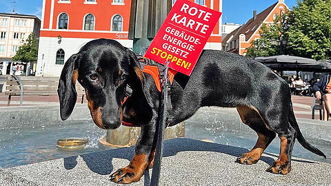 Vroni war auch auf der umstrittenen Demo in Erding.