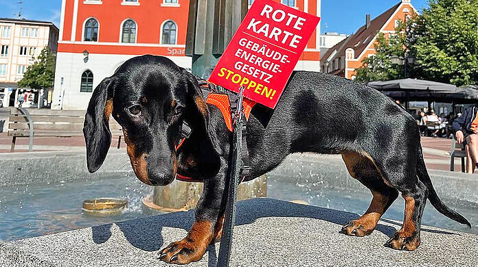 Vroni war auch auf der umstrittenen Demo in Erding.