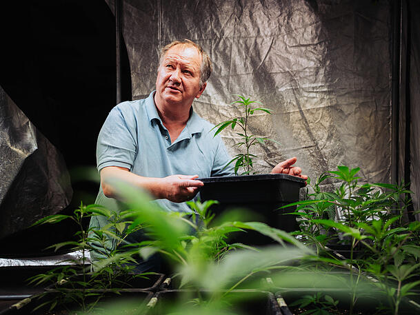 Vaclav Cerveny mit Cannabispflanzen in seinem Hanf-Supermarkt. Vaclav Cerveny mit Cannabispflanzen in seinem Hanf-Supermarkt.