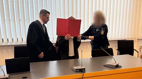 Das Landgericht Heidelberg verurteilte die Frau nun unter anderem wegen gewerbsm&auml;&szlig;igen Betrugs und Urkundenf&auml;lschung. (Archivbild)
