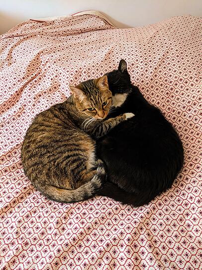 Febi und Floris