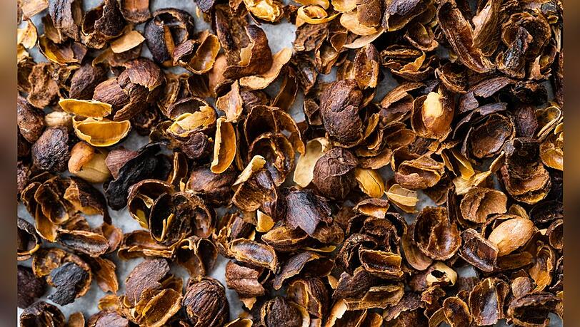 Cascara sind die Schalen der Kaffeekirschen.