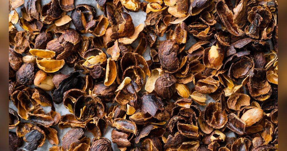 Cascara-Das-steckt-hinter-dem-Trendgetr-nk-aus-Kaffeekirschen