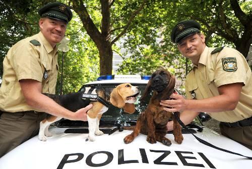 Der kleine Beagle Lilly mit Herrchen Andreas Dindorf (links) und der Hannoversche Schweißhund Buddy mit seinem Diensthundeführer Andreas Stadler.