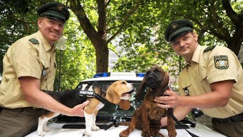 Der kleine Beagle Lilly mit Herrchen Andreas Dindorf (links) und der Hannoversche Schweißhund Buddy mit seinem Diensthundeführer Andreas Stadler. Der kleine Beagle Lilly mit Herrchen Andreas Dindorf (links) und der Hannoversche Schweißhund Buddy mit seinem Diensthundeführer Andreas Stadler.