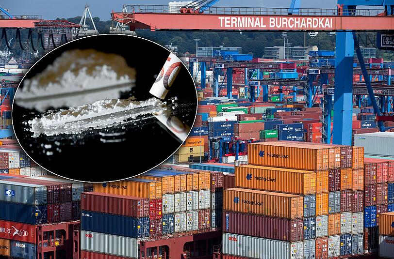 Im Hamburger Hafen haben Zollfahnder Kokain im Wert von mehreren Millionen Euro sichergestellt.
