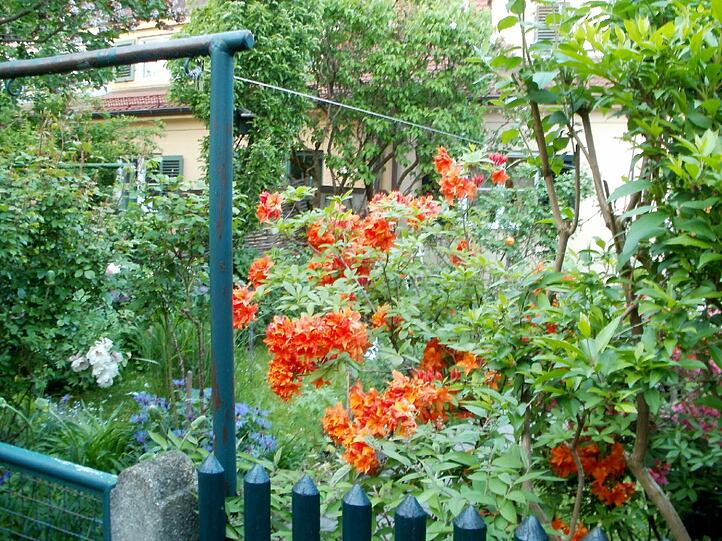 Ein AZ-Leser hat die (un-)wetterbedingten Entwicklungen in seinem Stadtviertel genau dokumentiert.