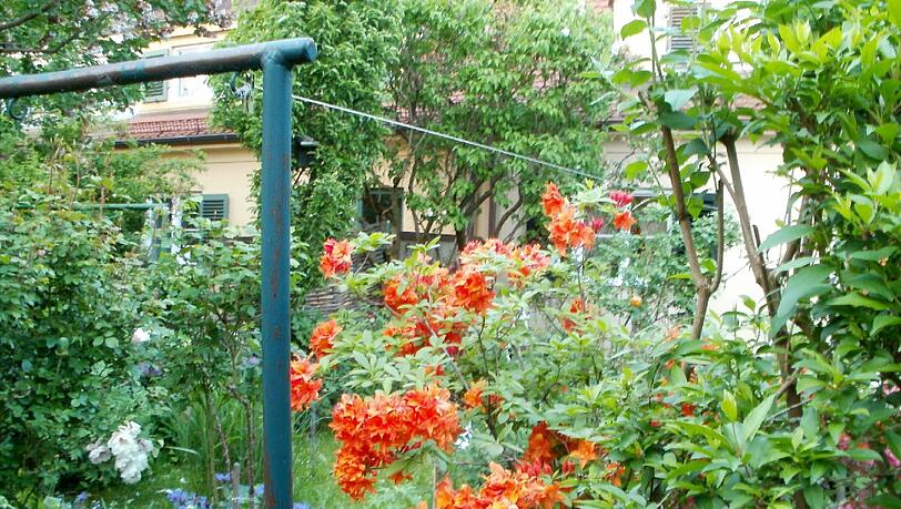 Ein AZ-Leser hat die (un-)wetterbedingten Entwicklungen in seinem Stadtviertel genau dokumentiert. Ein AZ-Leser hat die (un-)wetterbedingten Entwicklungen in seinem Stadtviertel genau dokumentiert.