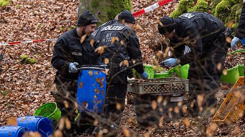 Die Fundstelle von Sonja Engelbrecht im Wald.