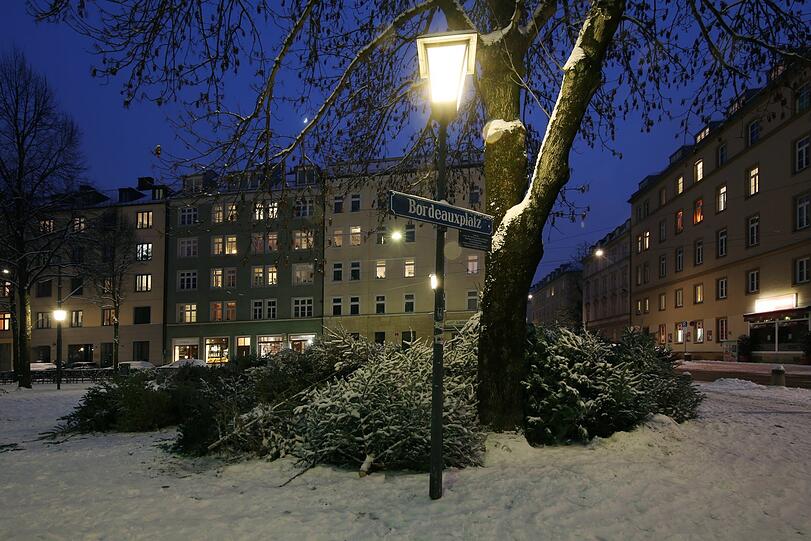 Christbaum-Deponie am Bordeauxplatz: Die Stangerl am Wertstoffhof zu entsorgen, ist offenbar zu viel verlangt.