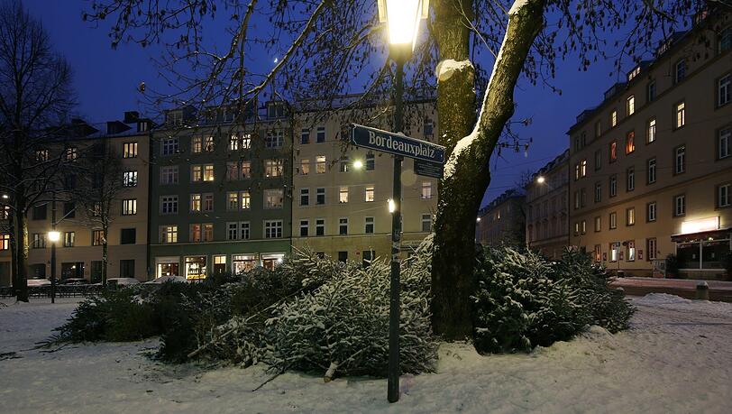 Christbaum-Deponie am Bordeauxplatz: Die Stangerl am Wertstoffhof zu entsorgen, ist offenbar zu viel verlangt. Christbaum-Deponie am Bordeauxplatz: Die Stangerl am Wertstoffhof zu entsorgen, ist offenbar zu viel verlangt.