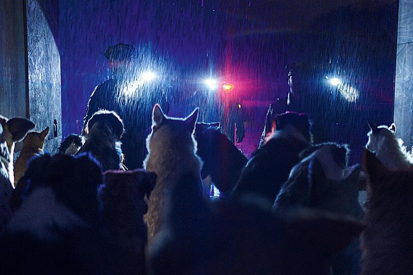 Nachts in New Jersey öffnen Polizisten einen Lastwagen und 50 Hunde blicken sie an, die in die Nacht verschwinden. Es sind alles Freunde von Doug, dem "DogMan".