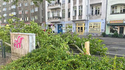 Windstärke 11 - so ein heftiger Wind ist in Berlin ungewöhnlich.
