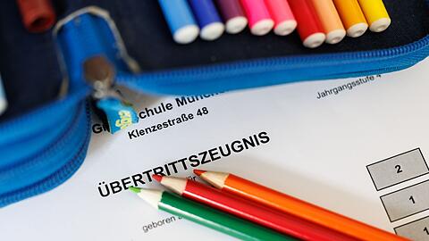Die Viertkl&auml;sslerinnen und -kl&auml;ssler bekommen ihre &Uuml;bertrittszeugnisse diesen Montag. (Symbolbild)