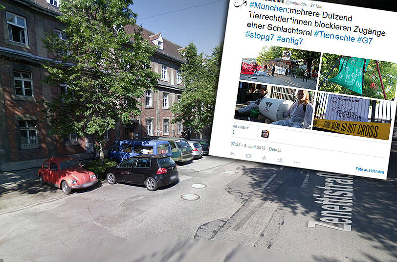 Einbetoniert in Betonfässer versuchen Aktivisten die Zufahrt zum Schlachthof zu versperren.