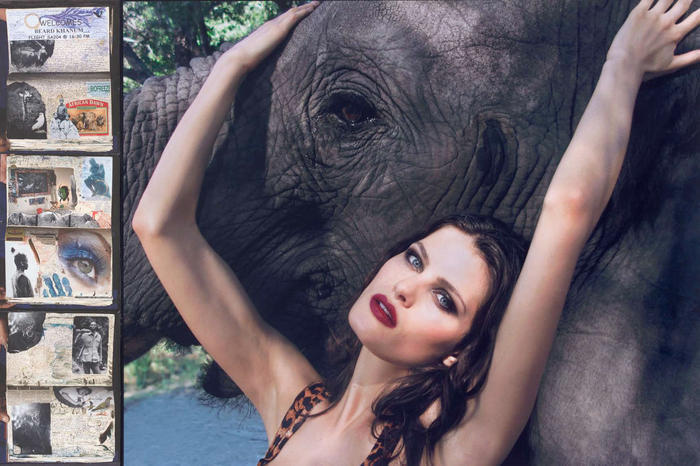 Die exklusiven Fotos aus dem Pirelli-Kalender sind nun erstmals auch in einem käuflichen Sammelband erschienen.