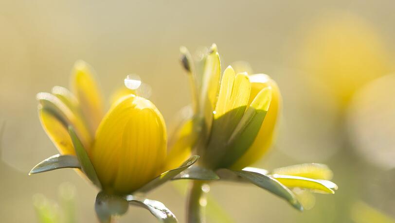 Manche Menschen reagieren st&auml;rker als andere auf Wetter&auml;nderungen. (Symbolbild)