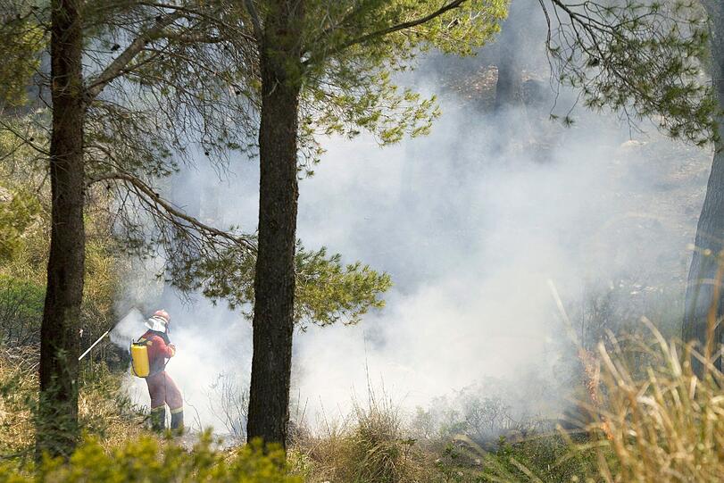 Waldbrand auf Mallorca - Bilder von der Ferieninsel