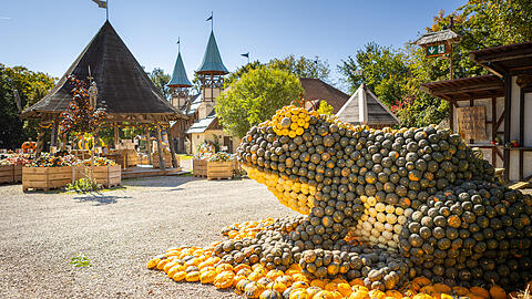 Die nächsten Wochenenden stehen auf Schloss Kaltenberg im Zeichen von Kürbissen.