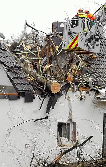 Der Orkan "Ulli" hat Nordrhein-Westfalen am Dienstag kräftig durchgeschüttelt. Bäume wurzelten aus, Dachpfannen fielen auf die Straßen, Wälder wurden gesperrt und Veranstaltungen abgesagt.
