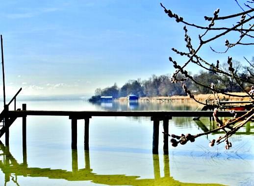 Das sieht schon sehr nach Frühling aus &ndash; Palmkätzchen am Ammersee.