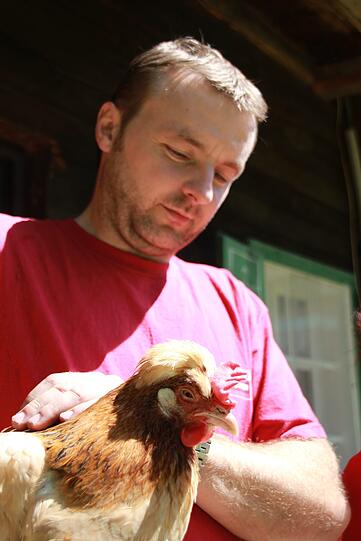 In der Südsteiermark wird das Sulmtaler Huhn mit Erfolg gezüchtet.