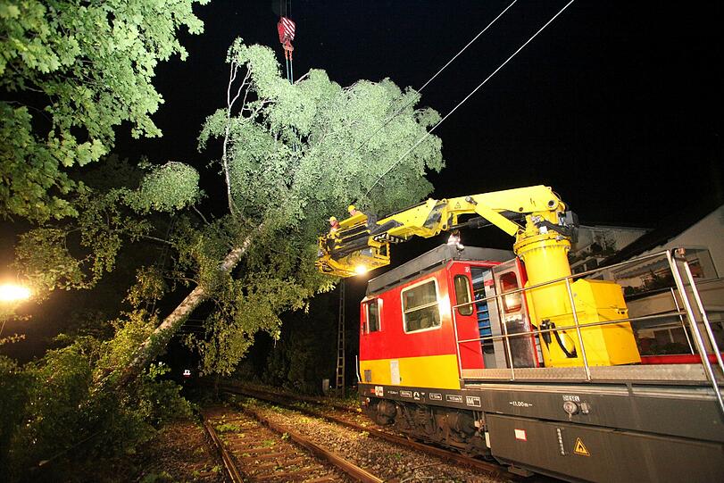 Das Foto vom 18.06.2013 zeigt einen Baum in der Oberleitung einer Bahnstrecke in Lindau (Bayern).
