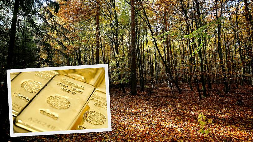 In Bayern hatten Kinder beim Spielen im Wald einen Goldschatz im Wert von 250.000 Euro gefunden.