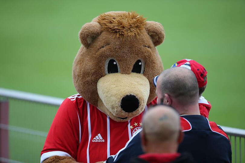 Die Bilder vom zweiten öffentlichen Training des FC Bayern.