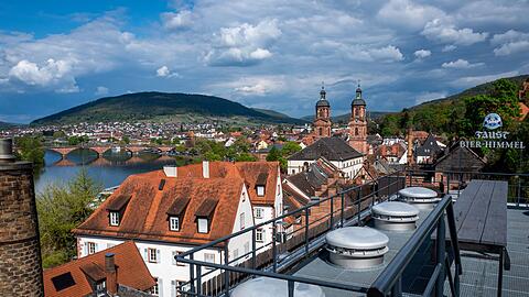Der Landkreis Miltenberg hatte bisher einen Landrat von den Gr&uuml;nen. (Archivbild)