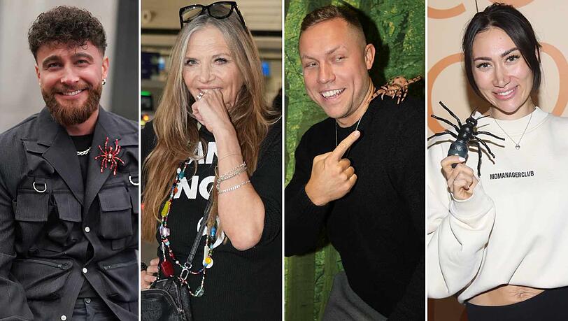 Trash-TV-Prominenz, Ex-Liebhaber und gefallene Stars: Diese zw&ouml;lf Promis ziehen 2026 ins Dschungelcamp.