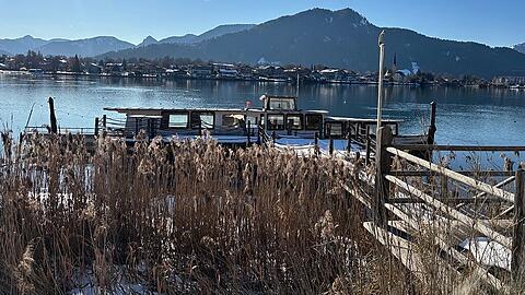 Gut getarnt hinter Pflanzen: Der ehemalige Ausflugsdampfer MS Bad Wiessee liegt auf dem Tegernsee bereits mit Wasser vollgelaufen schief am Steg. Das Landratsamt Miesbach hat den Besitzer aufgefordert, ihn zu entfernen.