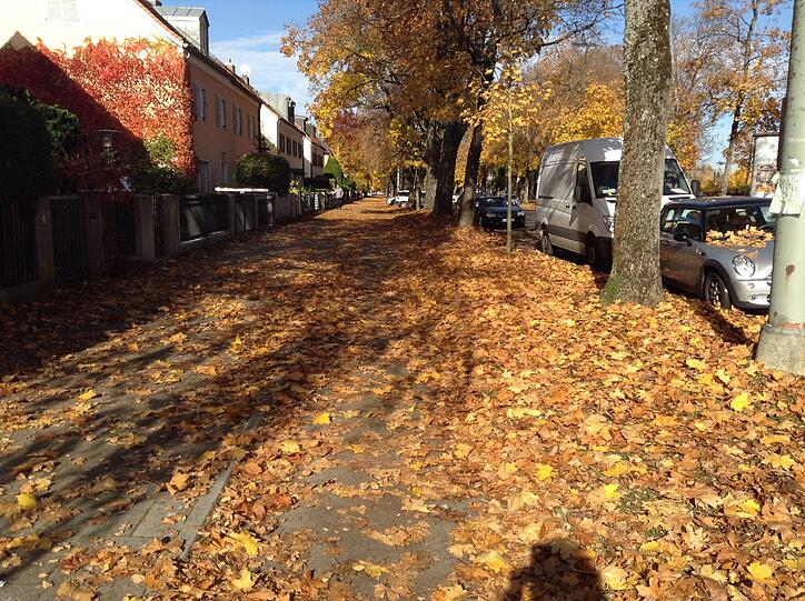 Goldener Oktober in Harlaching