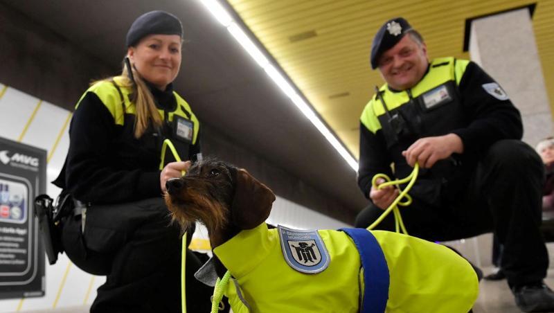 Mitarbeiter knien neben einem Dackel mit einer Weste mit der Aufschrift "U-Bahnwache München". Foto: Marcus Schlaf/Stadtwerke München MVG Mitarbeiter knien neben einem Dackel mit einer Weste mit der Aufschrift "U-Bahnwache München". Foto: Marcus Schlaf/Stadtwerke München MVG