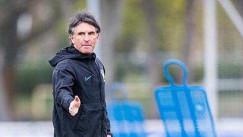 Trainer Bruno Labbadia soll Hertha BSC stabilisieren.
