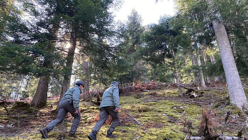 Polizeibeamte gehen durch den Wald vor einem mit Flatterband abgesperrten Bereich.  In Norditalien ist ein Jogger möglicherweise von einem Bären angegriffen und getötet worden.