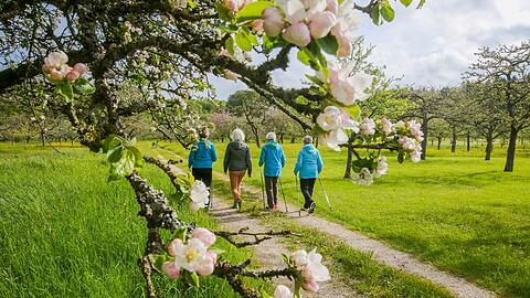 Spaziergängerinnen bei Bernloch auf der Schwäbischen Alb.