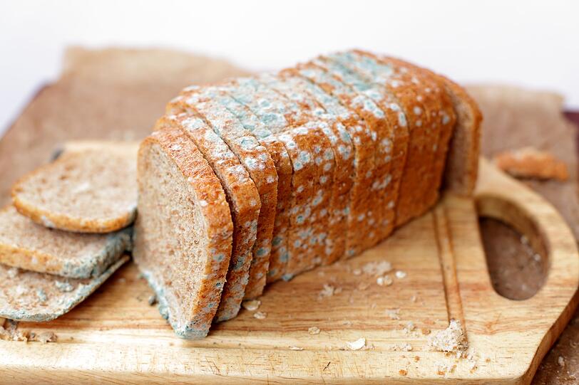 Sobald sich Schimmel auf einem Brotlaib oder geschnittenem Brot zeigt, sollte das gesamte Brot entsorgt werden. Die Sporen haben sich meist bereits im Inneren ausgebreitet. Reinigen Sie den Brotkasten regelm&auml;&szlig;ig mit Essigwasser, um Schimmel vorzubeugen. Entfernen Sie auch Kr&uuml;mel, da sie das Wachstum von Schimmel beg&uuml;nstigen. Bei Getreide und Saaten gilt dasselbe: Ist Schimmel sichtbar, geh&ouml;rt die ganze Packung in den M&uuml;ll. Besonders anf&auml;llig sind Dinkelkerne, Weizenkleie, Sesam und Mohn.